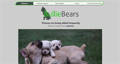 Desktop Screenshot of bulliebears.com