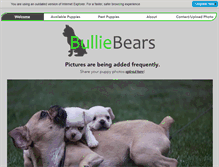 Tablet Screenshot of bulliebears.com